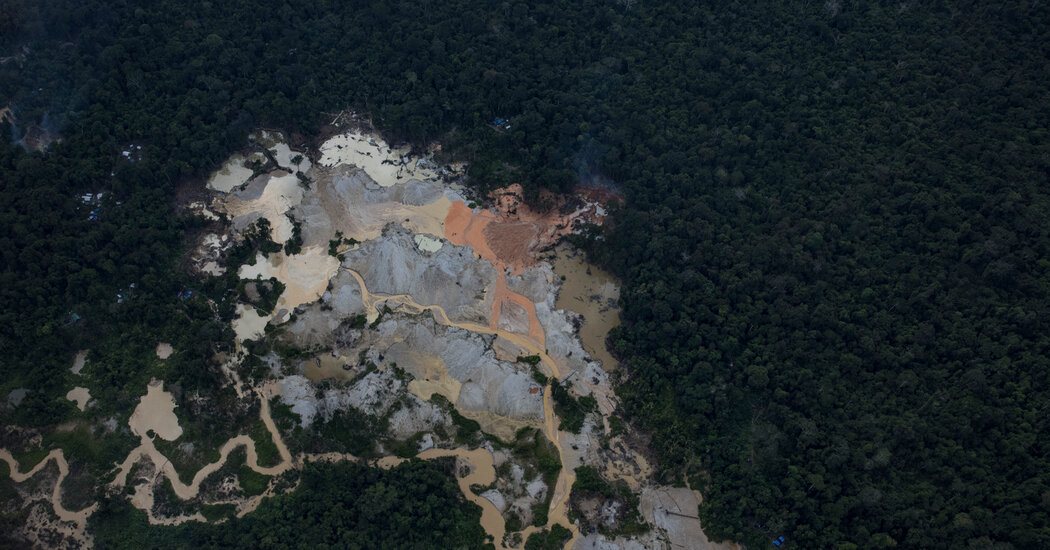 Global Demand for Rare Earth Minerals Is Intensifying Criminal Threats in the Amazon Rainforest