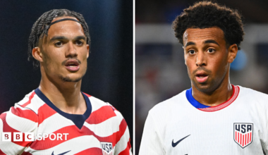 Antonee Robinson and Tyler Adams in action for the USA