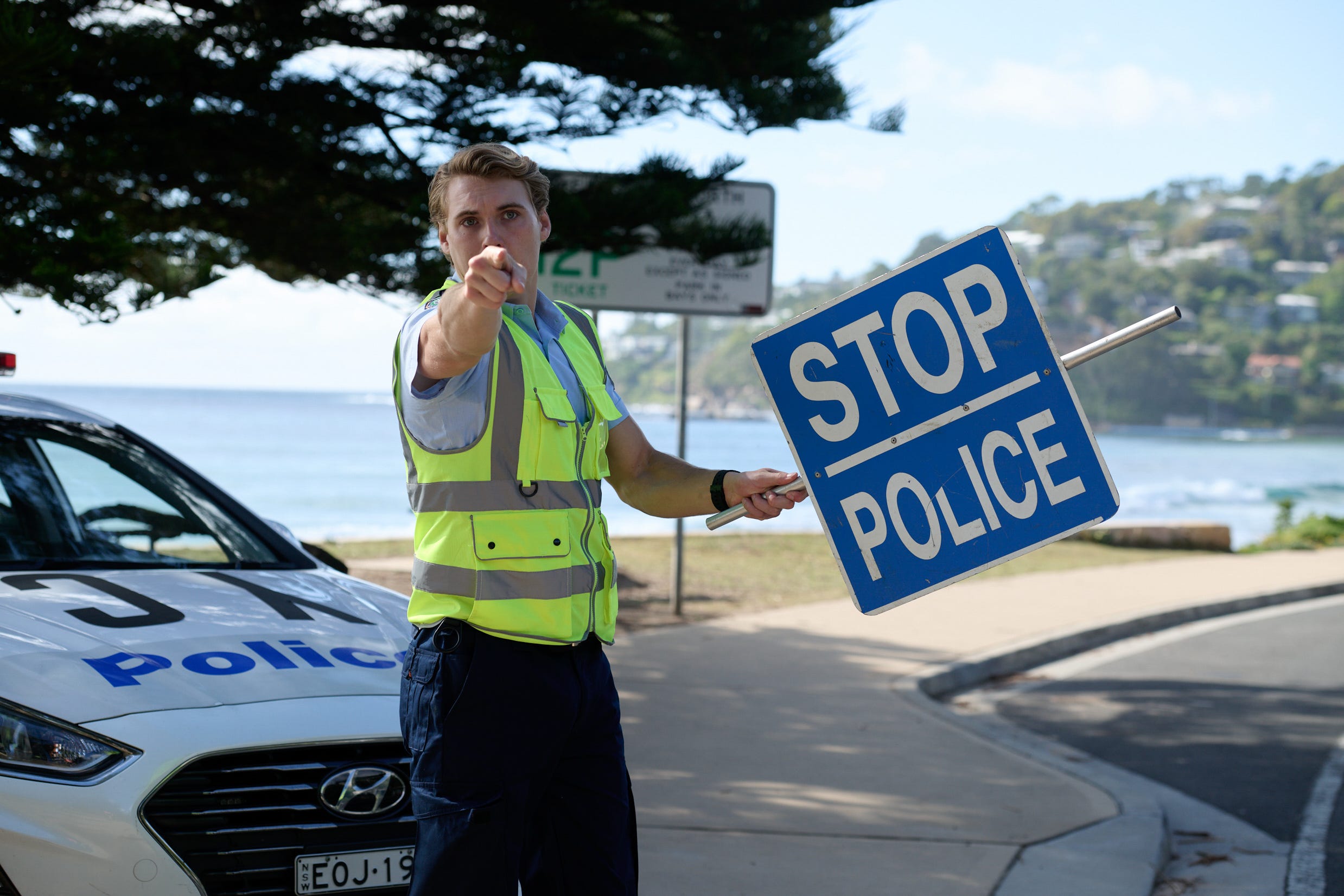 richie brezniak in home and away