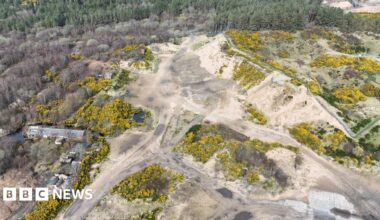 An aerial drone shot of sand dunes and greenery. Work has clearly taken place on the site.