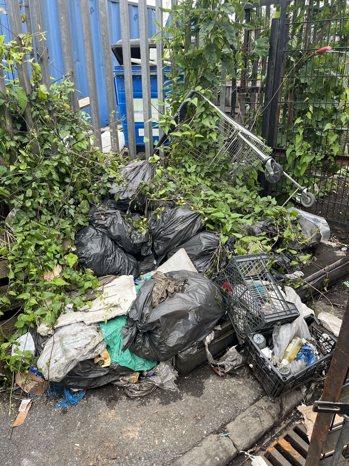 A pile of waste on Robert Street, after it had been 'cleaned up'