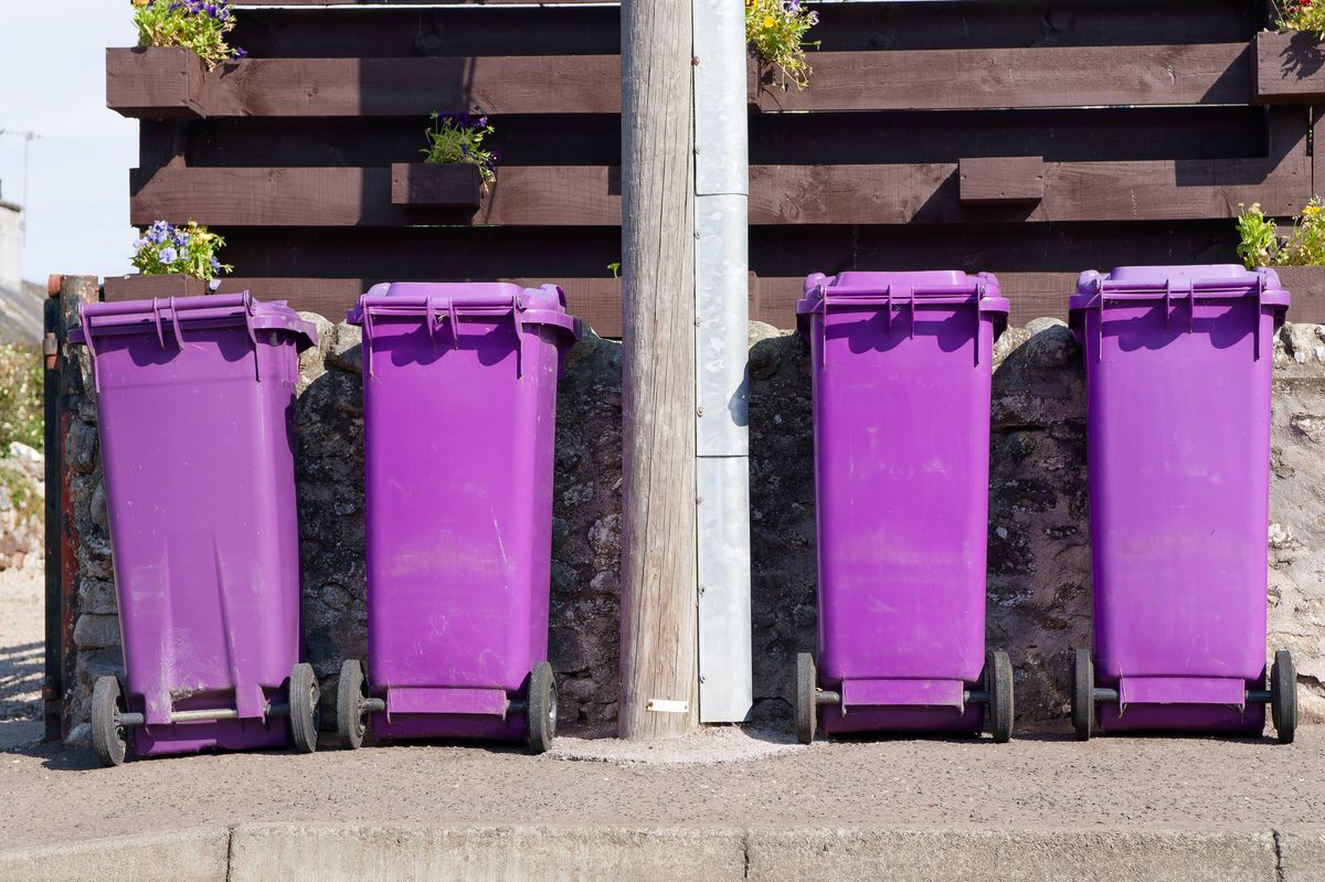 Purple wheelie bins refuge collection outside house in a row UK
