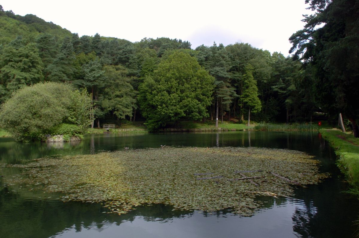 Glyncornel Lake