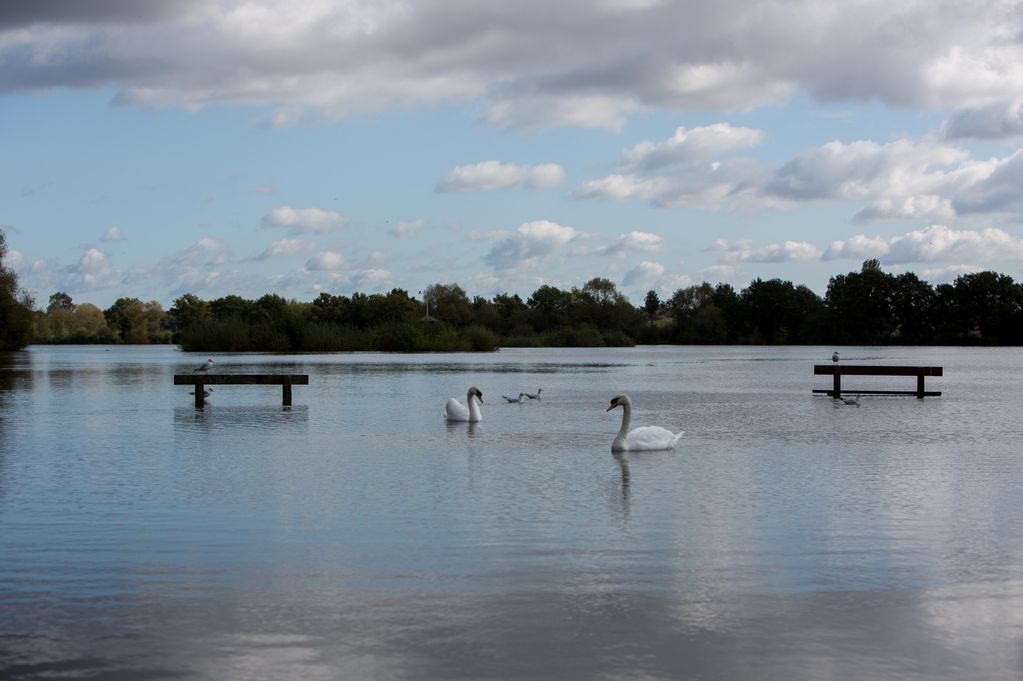Her body was recovered at Kingsbury Water Park