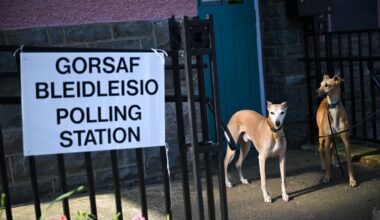 Wales Online