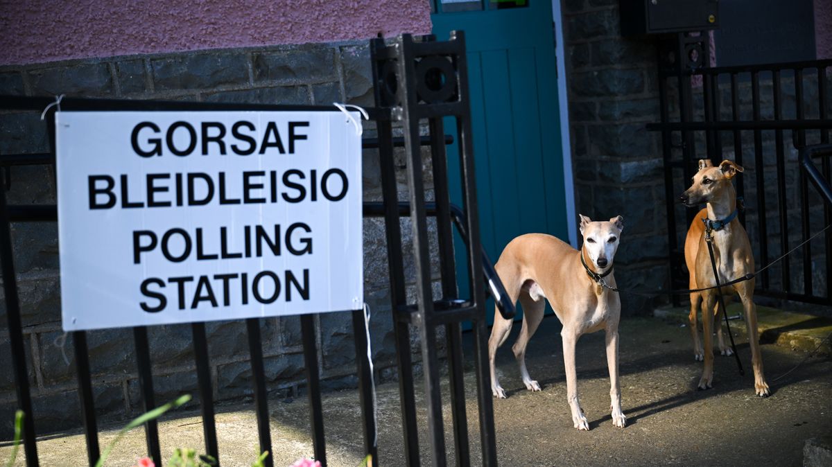 Wales Online