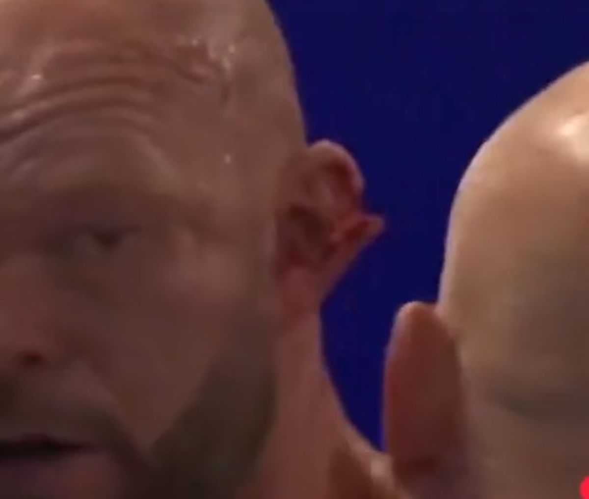The savage ear cut which saw Dorian Darch's last bare-knuckle fight stopped