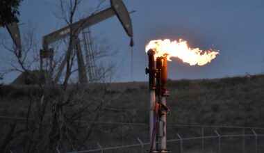 Brussels mulls scrapping methane fines amid energy crisis - leak