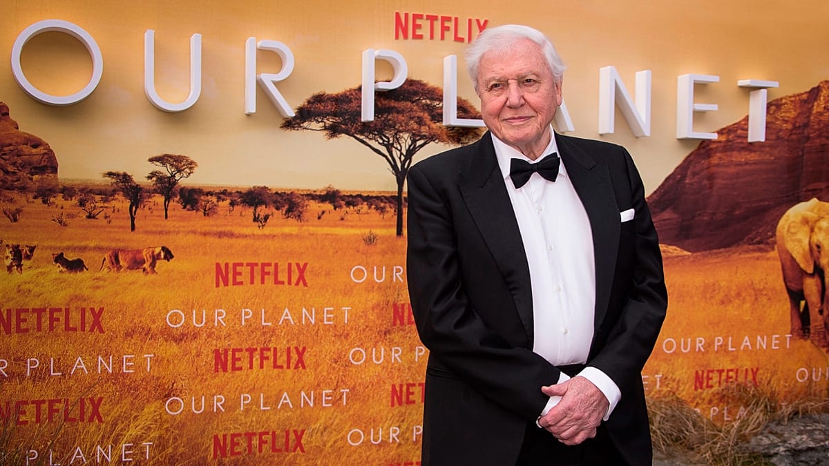 A century of change: Planet Earth through David Attenborough’s eyes as global treasure turns 100