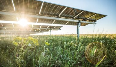 Greece has cheap green energy in abundance. So why are electricity bills still so high?