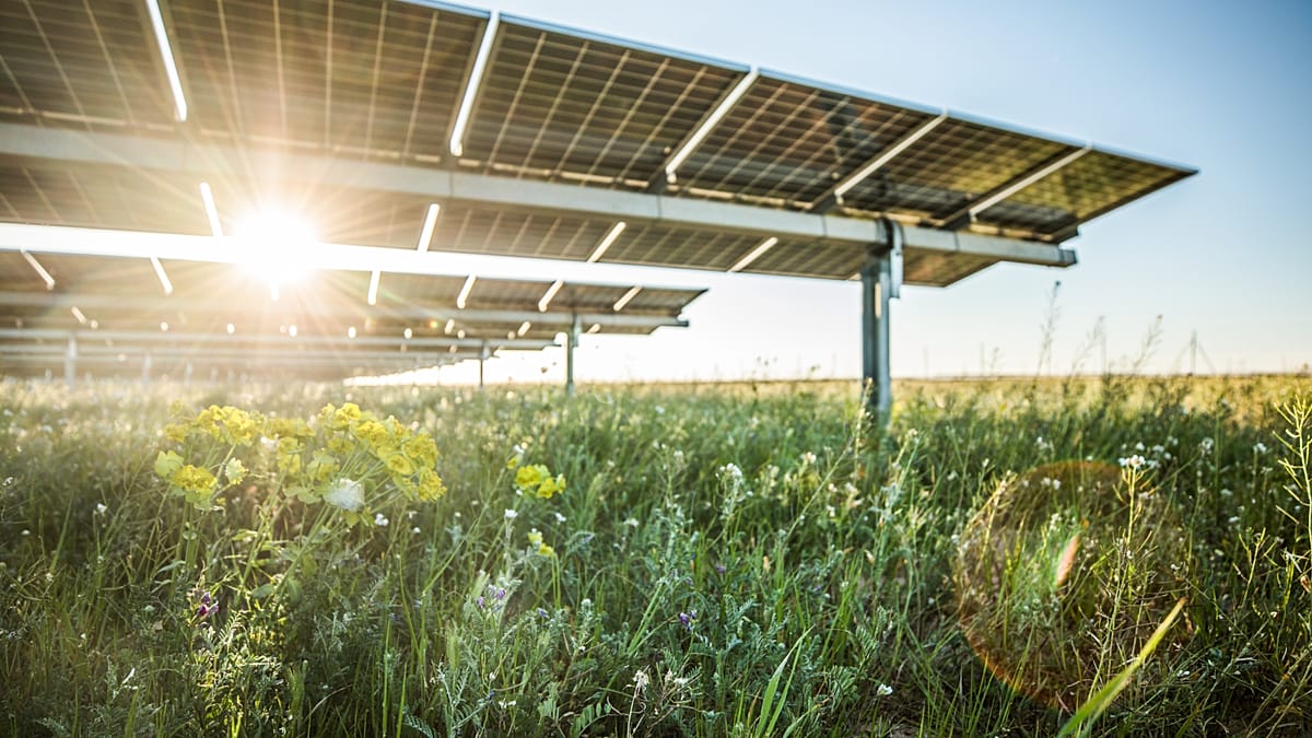 Greece has cheap green energy in abundance. So why are electricity bills still so high?