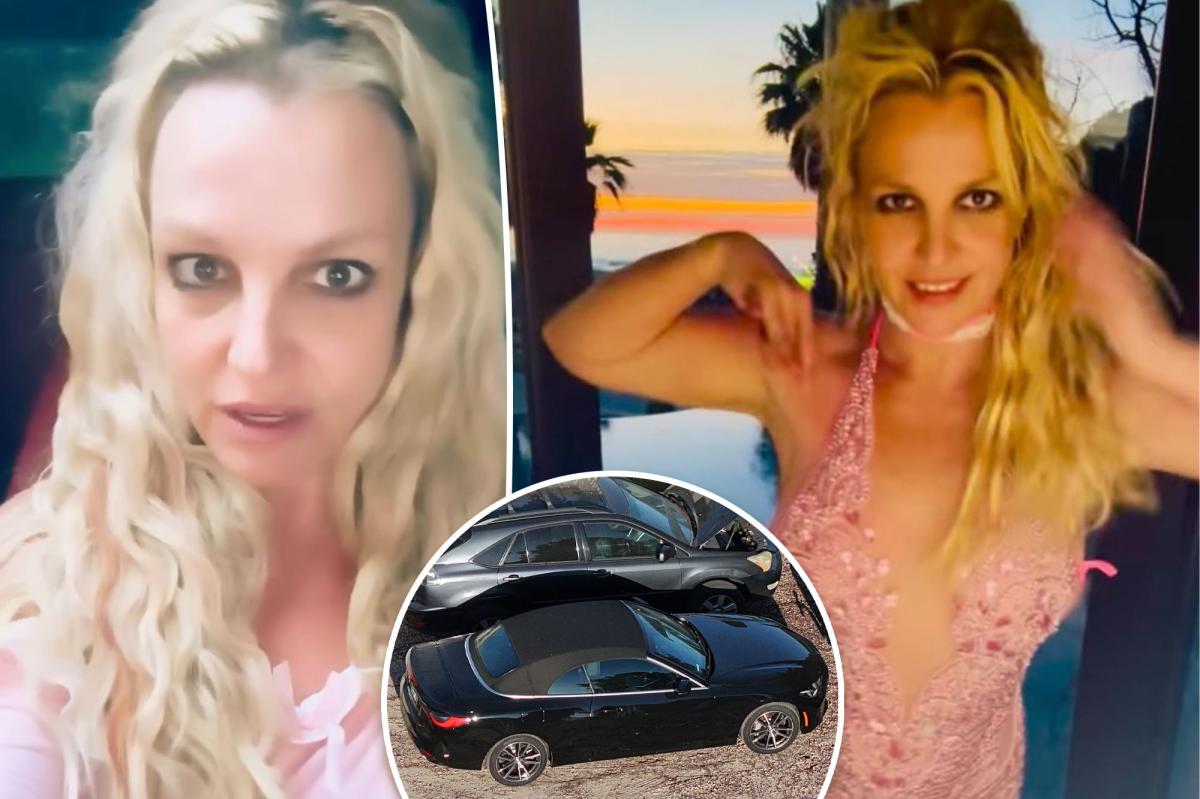Britney Spears listed drugs taken before DUI arrest as she boasted she could drink '4 bottles of wine'