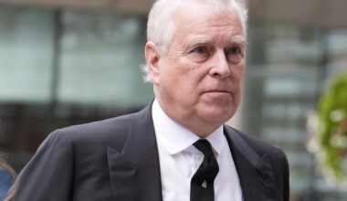 Man arrested after 'threatening Andrew Mountbatten-Windsor as he walked his dogs' - London Evening Standard