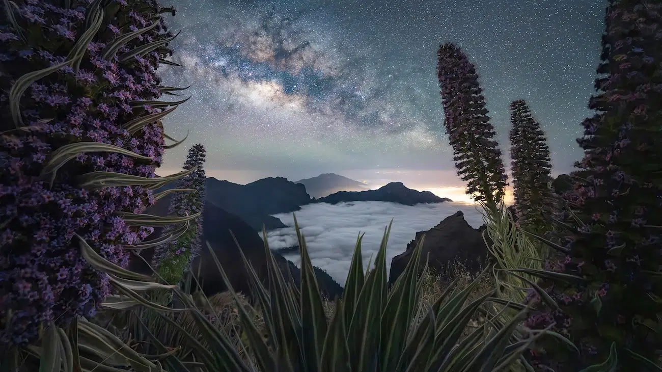 Milky Way Photographer of the Year