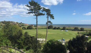 National County T20: Somerset come out on top