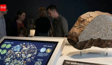 In 2015, David Hole’s curiosity about a heavy “gold” rock on his shelf for 17 years revealed a space secret |