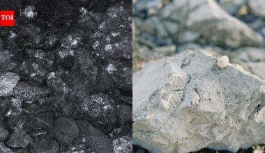 Earth’s origin mystery cracked? Meteorites may hold the secret to life’s ingredients |