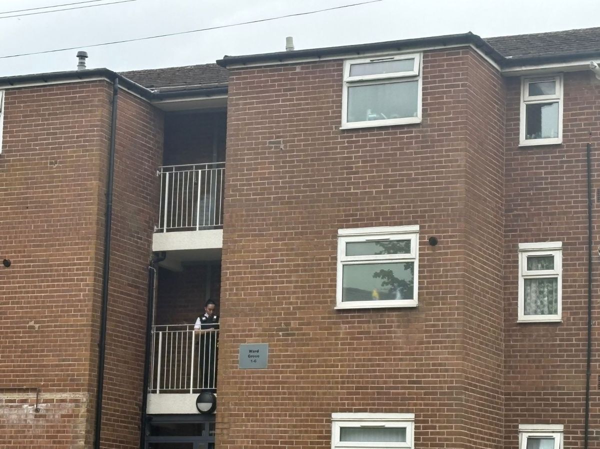 Police were seen focusing on the flats
