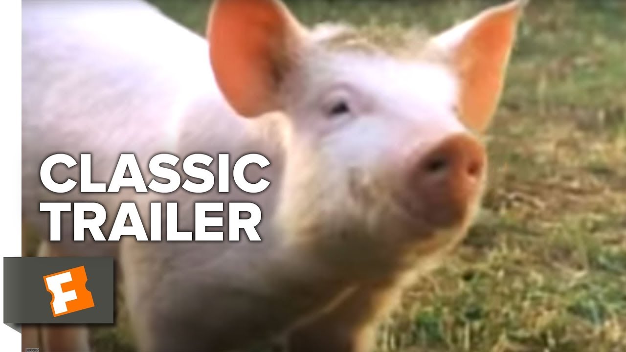 Babe Official Trailer #1 - Miriam Margolyes Movie (1995) - YouTube
