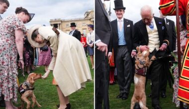Buckingham Palace garden party: Surprise guest takes centre stage