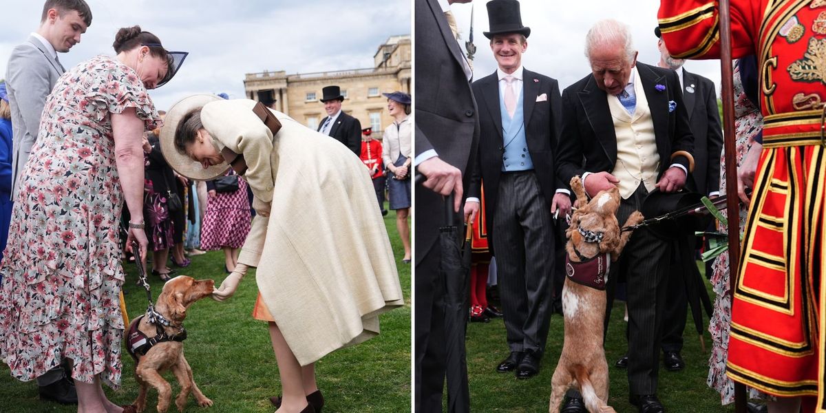 Buckingham Palace garden party: Surprise guest takes centre stage