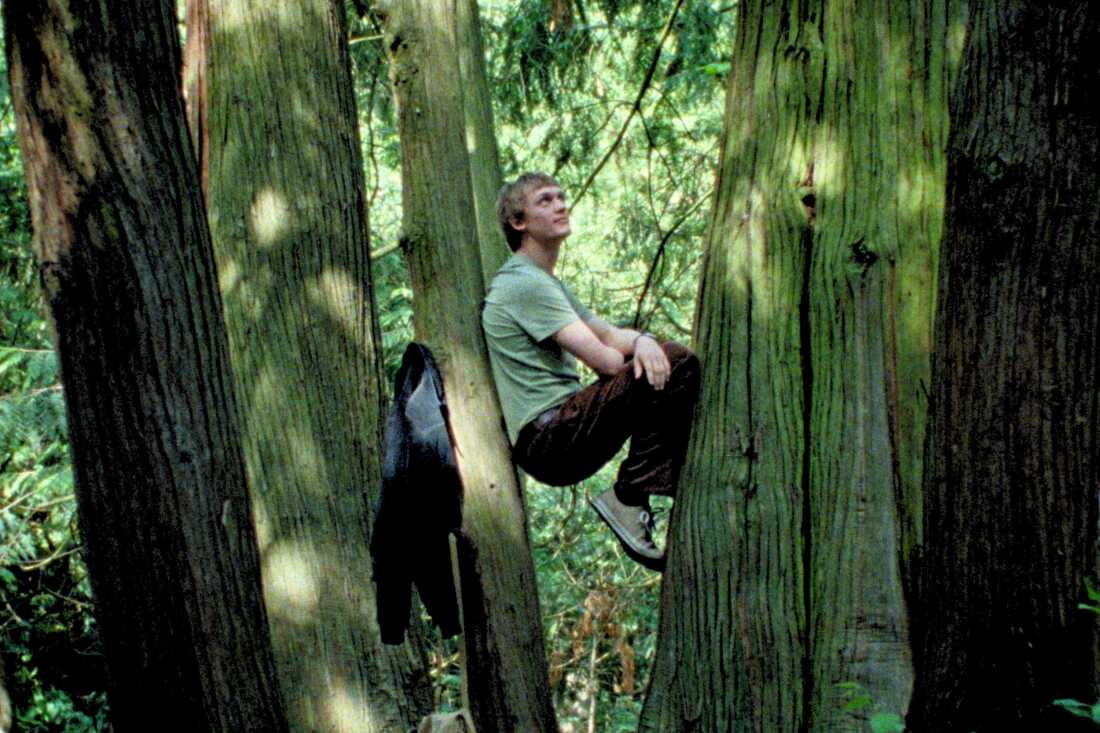 In Silent Friend, Hannes (Enzo Brumm) is profoundly transformed while caring for a plant.