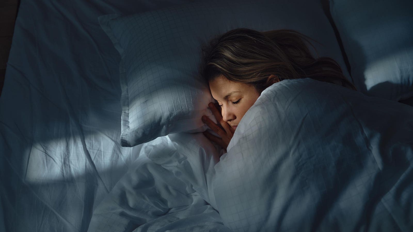 Why Don’t Humans Hibernate? An Evolutionary Biologist Explains