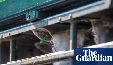 EU preparing to offer key concession to UK in new post-Brexit agricultural deal | European Union