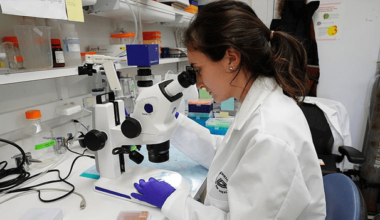 AI Healthcare and BioToken Partnership Expands WORK Medical’s (WOK) Digital Asset Ambitions