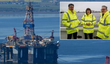 Labour blamed for delaying 100 million barrels of North Sea oil as investment 'could collapse before 2030'