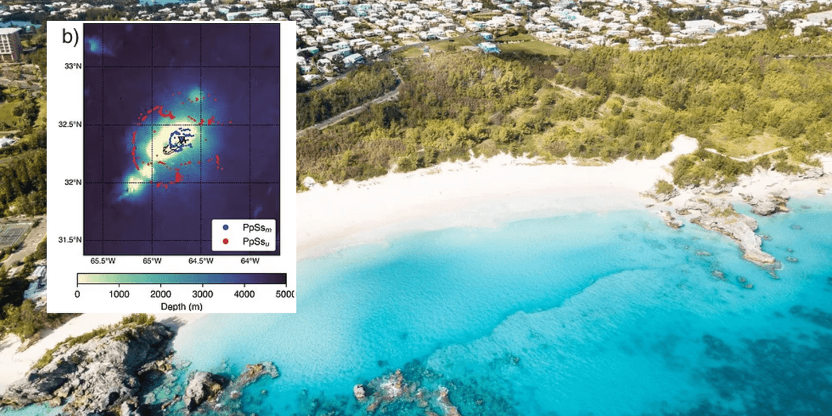 Science breakthrough: Bermuda mystery SOLVED after scientists uncover massive underwater structure