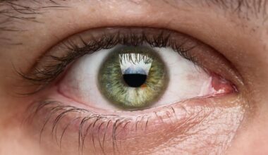 Only 2% Of Humans Have Green Eyes—An Evolutionary Biologist Explains Why