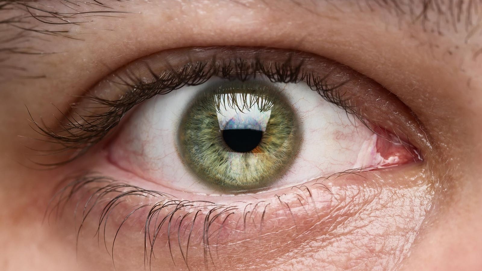 Only 2% Of Humans Have Green Eyes—An Evolutionary Biologist Explains Why