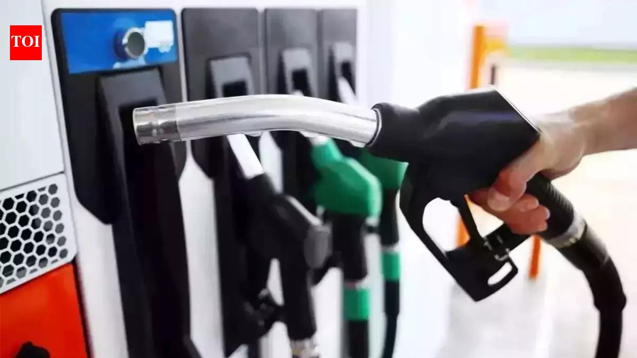 Petrol and diesel prices may rise if Middle East crisis persists, says RBI Governor Sanjay Malhotra