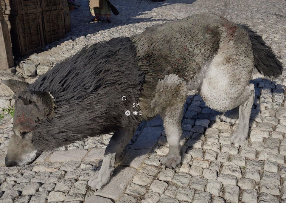 wolf