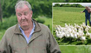 Jeremy Clarkson concedes 'there's no point' as he confirms halt to 'real farming' at Diddly Squat: 'Impossible to make money!'