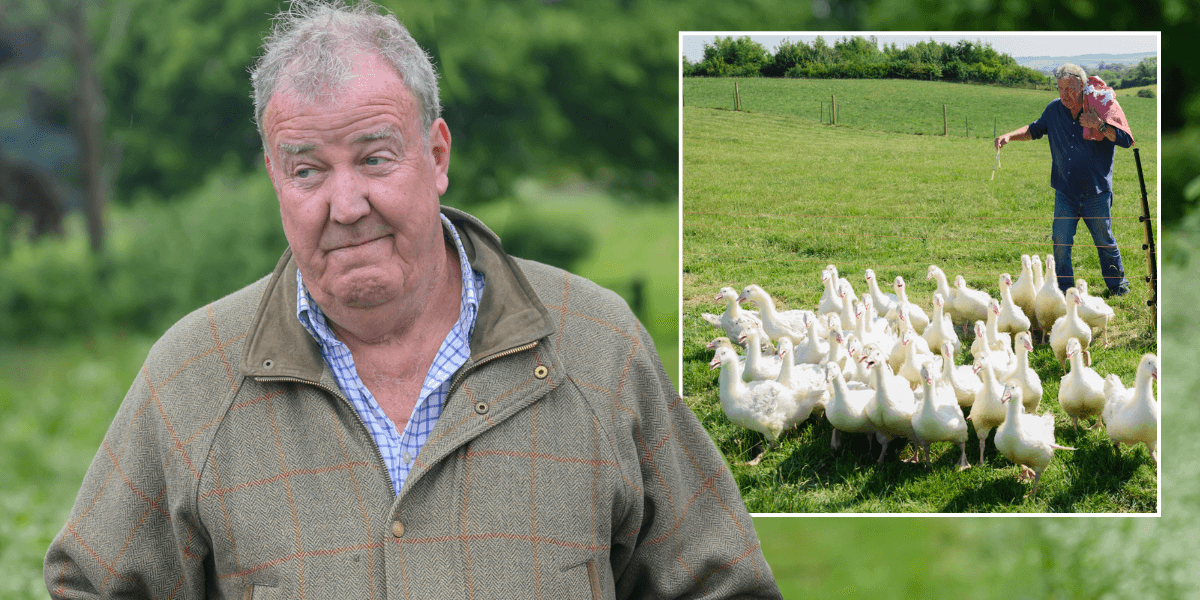 Jeremy Clarkson concedes 'there's no point' as he confirms halt to 'real farming' at Diddly Squat: 'Impossible to make money!'