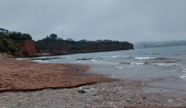 Devon Live