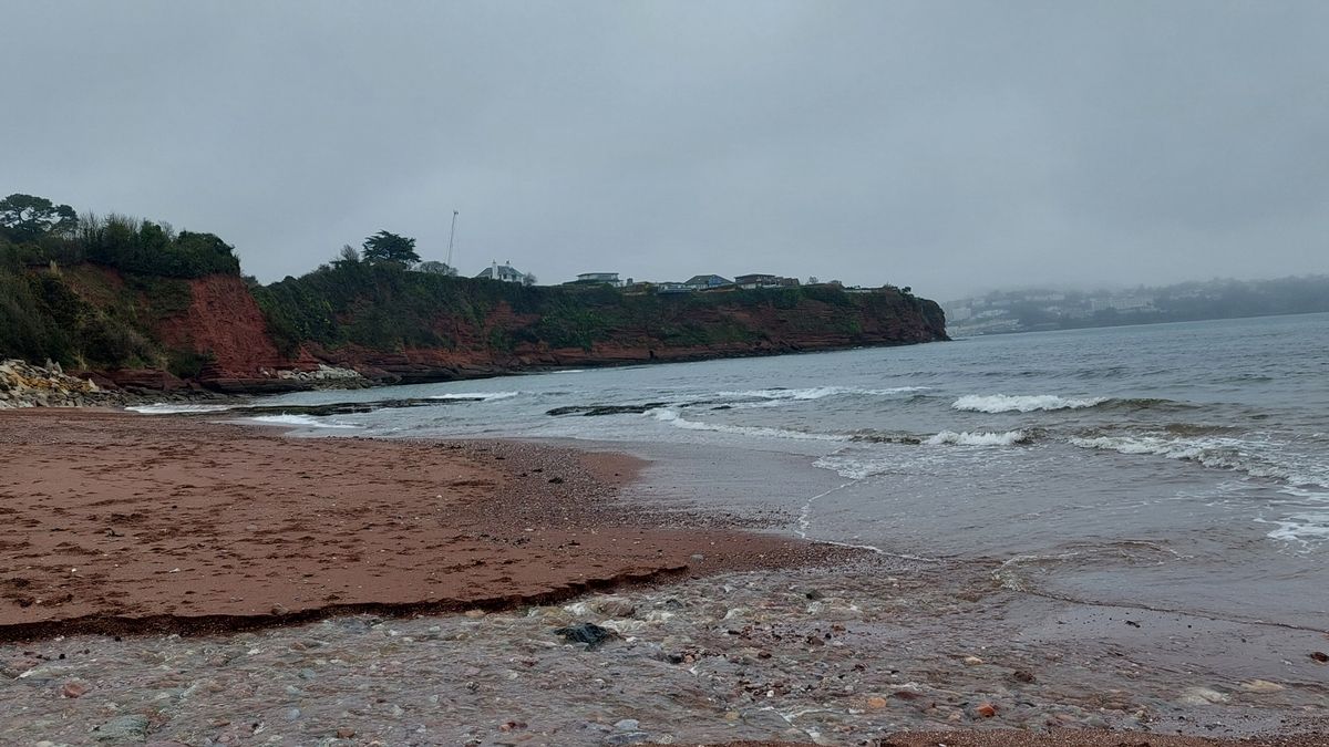 Devon Live