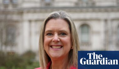 UK’s next ambassador to Japan may be called to give evidence in Mandelson inquiry | Politics