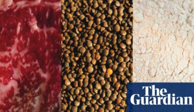 ‘People should aim to get a variety’: the pros and cons of popular protein sources | Well actually