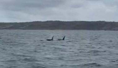 Cornwall Live