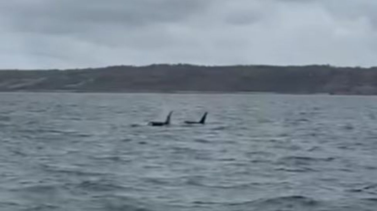 Cornwall Live