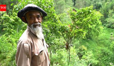 He sold his goats to buy tree seedlings and transformed barren hills into a forest: Meet Mbah Sadiman