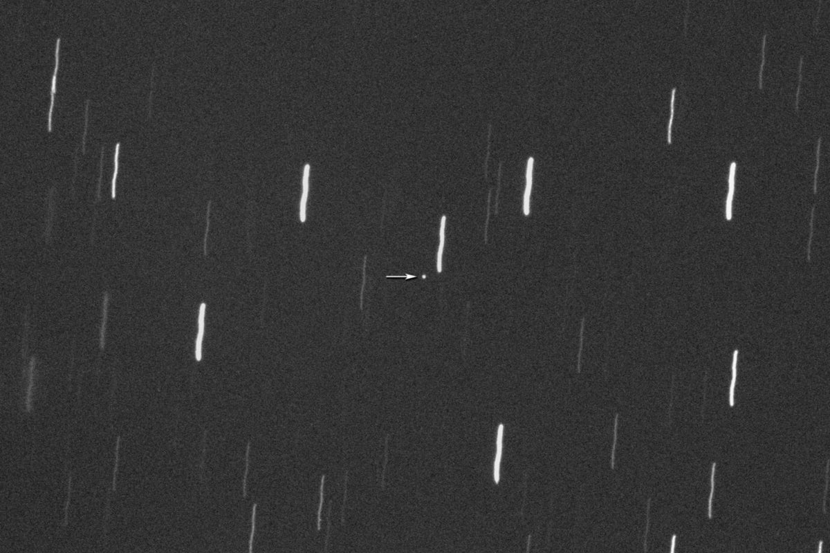 Newly discovered massive asteroid whizzes past Earth in unusually close flyby - The Independent