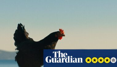 Hen review – plucky chicken beats the odds in weirdly uplifting survival story | Movies