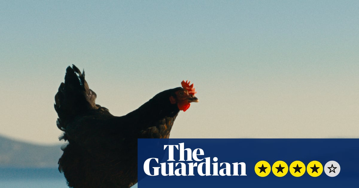 Hen review – plucky chicken beats the odds in weirdly uplifting survival story | Movies