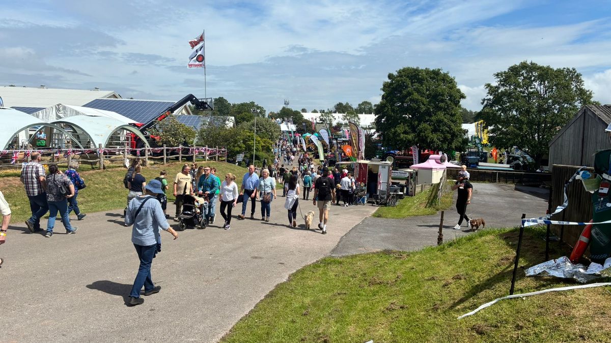 Devon Live