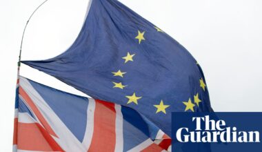 UK pitched single market for goods with EU in pursuit of deeper trade ties | Brexit
