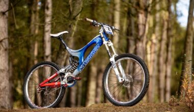 Steve Peat’s blue and red Santa Cruz V10 downhill bike photographed in woodland, with RockShox BoXXer forks and 26in wheels.